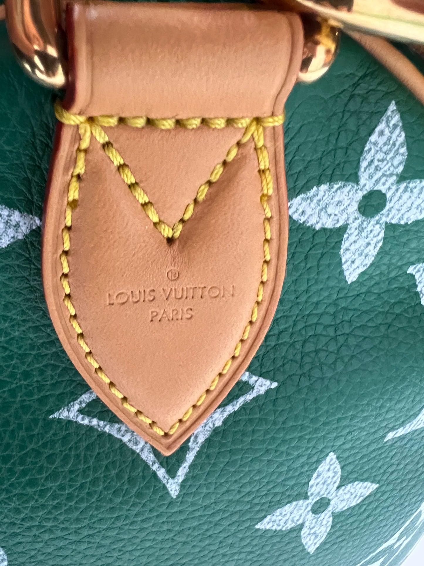 Louis Vuitton SS24 soft Speedy P9 Bandoulière 50 in green SZ:OS